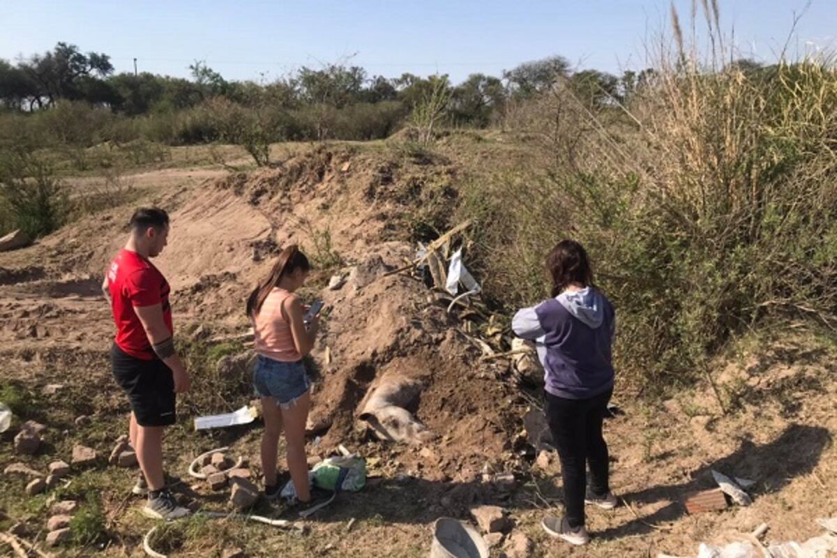 Villa María: mataron a un caballo e intentaron enterrarlo a la vera del río