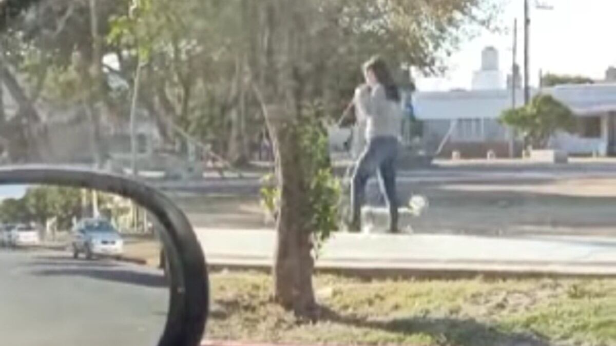 “Están raros los caniches en este barrio”: el viralazo de una cordobesa que sacó a pasear una exótica mascota