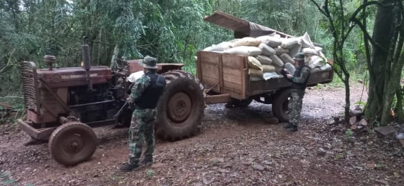 Incautan nuevo cargamento de soja sin aval en El Soberbio.