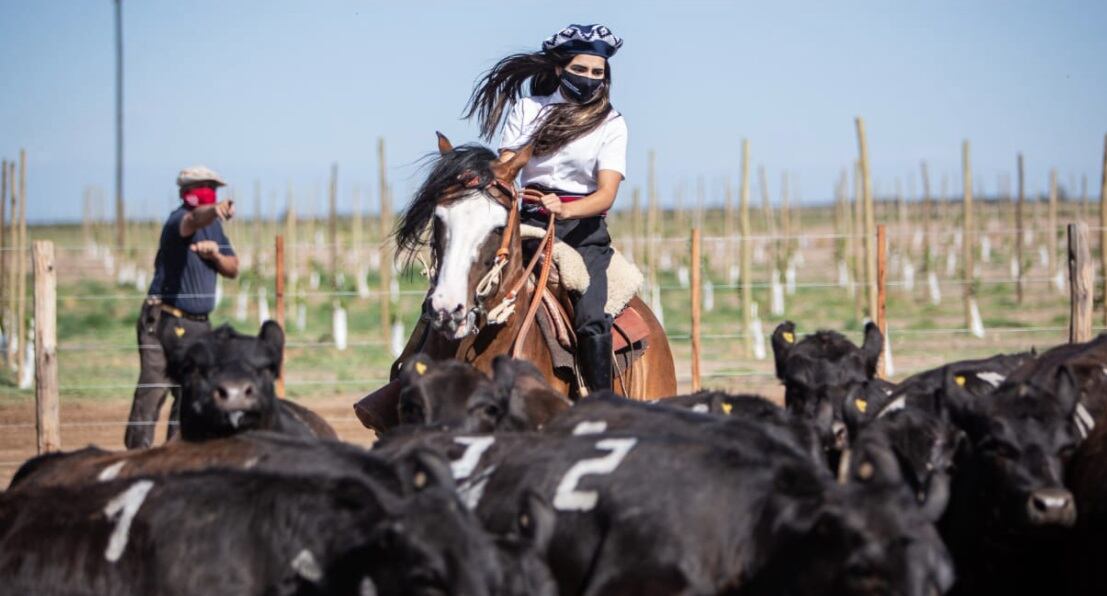 Julieta Montenegro es una apasionada de los Caballos Criollos y constantemente busca la perfección de manejo.