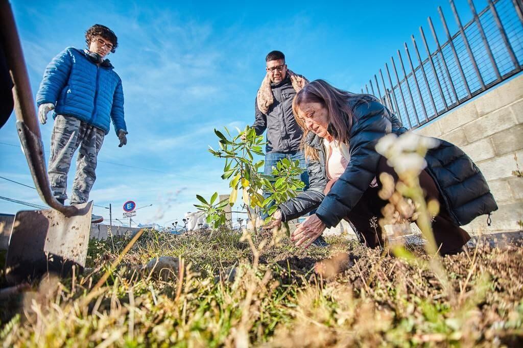 Ushuaia: finalizó la etapa inicial de “Mi Primer Arbolito” en el colegio “Eva Duarte”