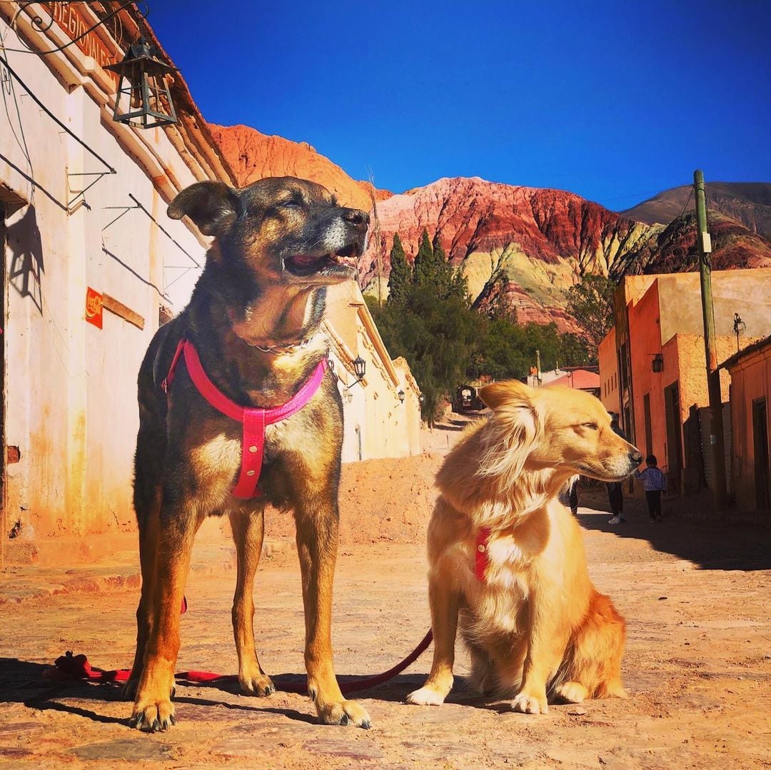 Chiqui y Foxy con el cerro Siete Colores de fondo.