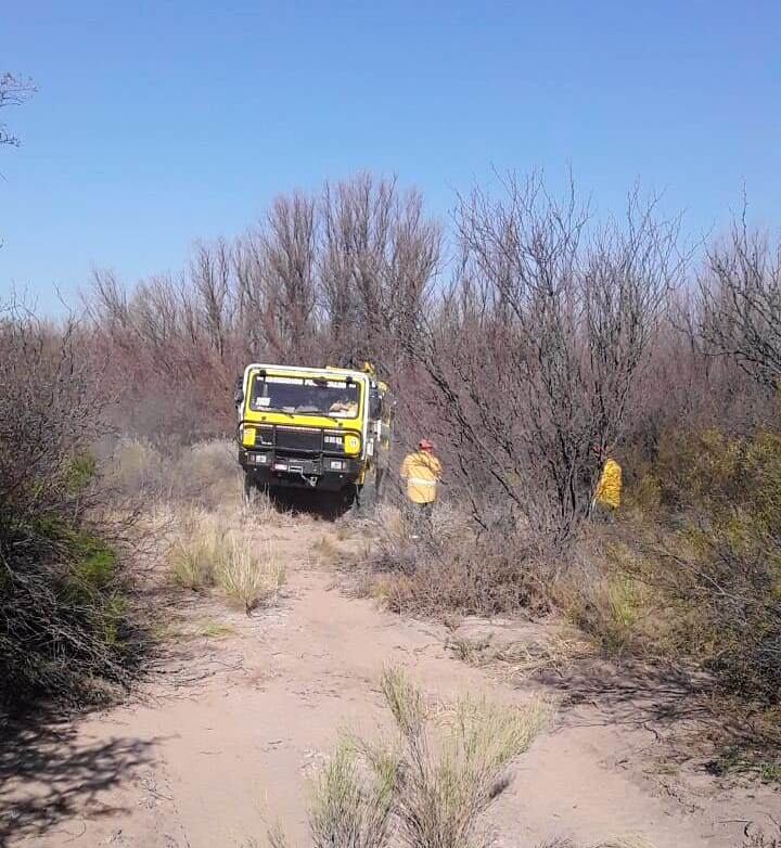 Dos cuadrillas trabajaron para sofocar el fuego en el campo de General Alvear.