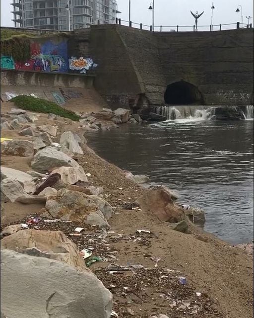 El organismo expresó su preocupación por el impacto ambiental que genera el desagüe pluvial de la Avenida Constitución y la costa.