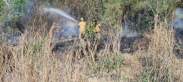 Incendio descontrolado en la localidad de 9 de Julio.