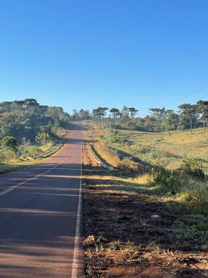 San Pedro: Energía de Misiones habilitó nuevas líneas de mayor potencia