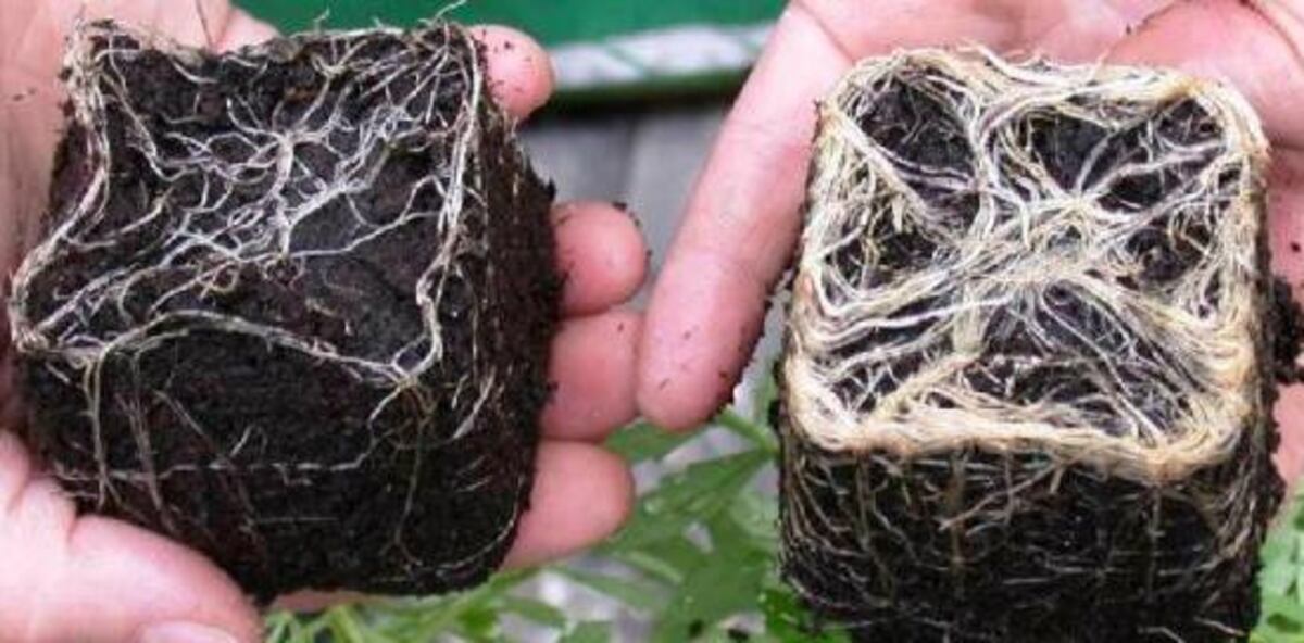 Otro tipo de fertilización y estimulación de las plantas