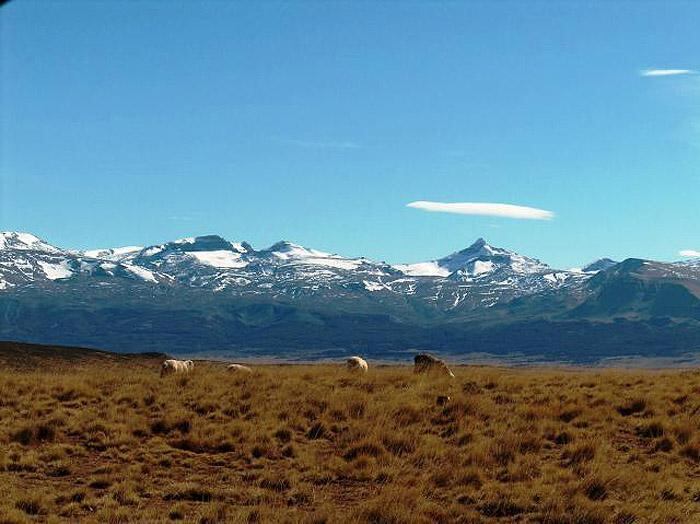 Campo con ovejas bajo un cerro nevado en área de Tucu Tucu.