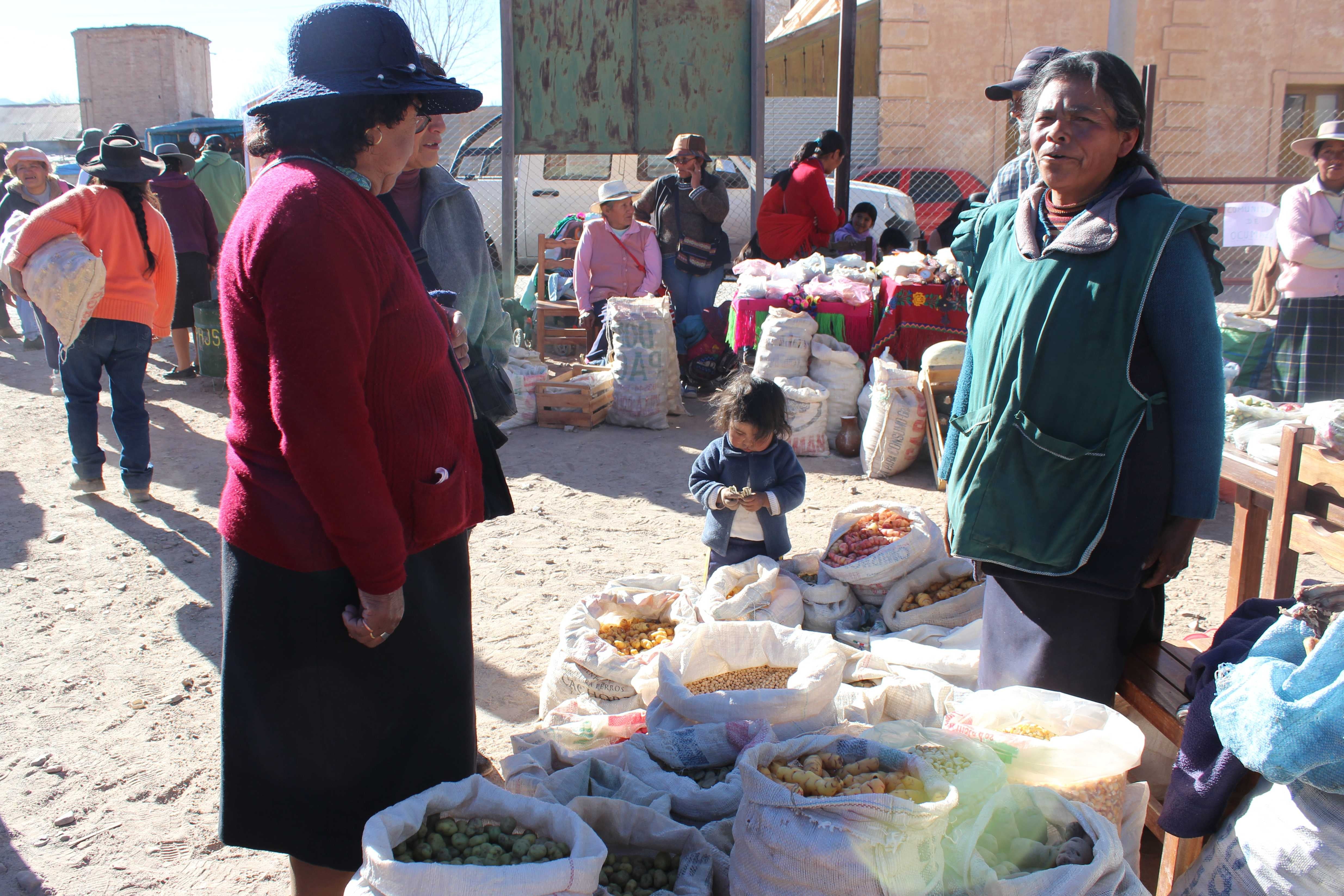 Maíces de colores, variedades de papa andina, hortalizas, frutas, dulces, quesos, especias y muchos productos más puede encontrar el visitante en la feria agrícola anual que se realiza en el marco del Alborozo Humahuaqueño.