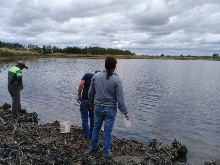 Personal de la Dirección de Gestión Ambiental del Recurso Hídrico se acercó al lugar para tomar muestras para ser analizadas.