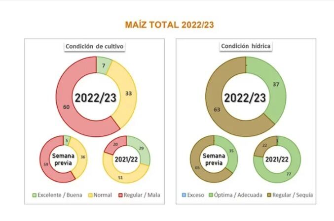 Las expectativas de la cosecha para el 2023.