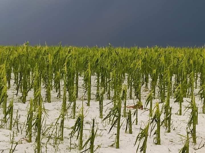 Granizo en San Luis.