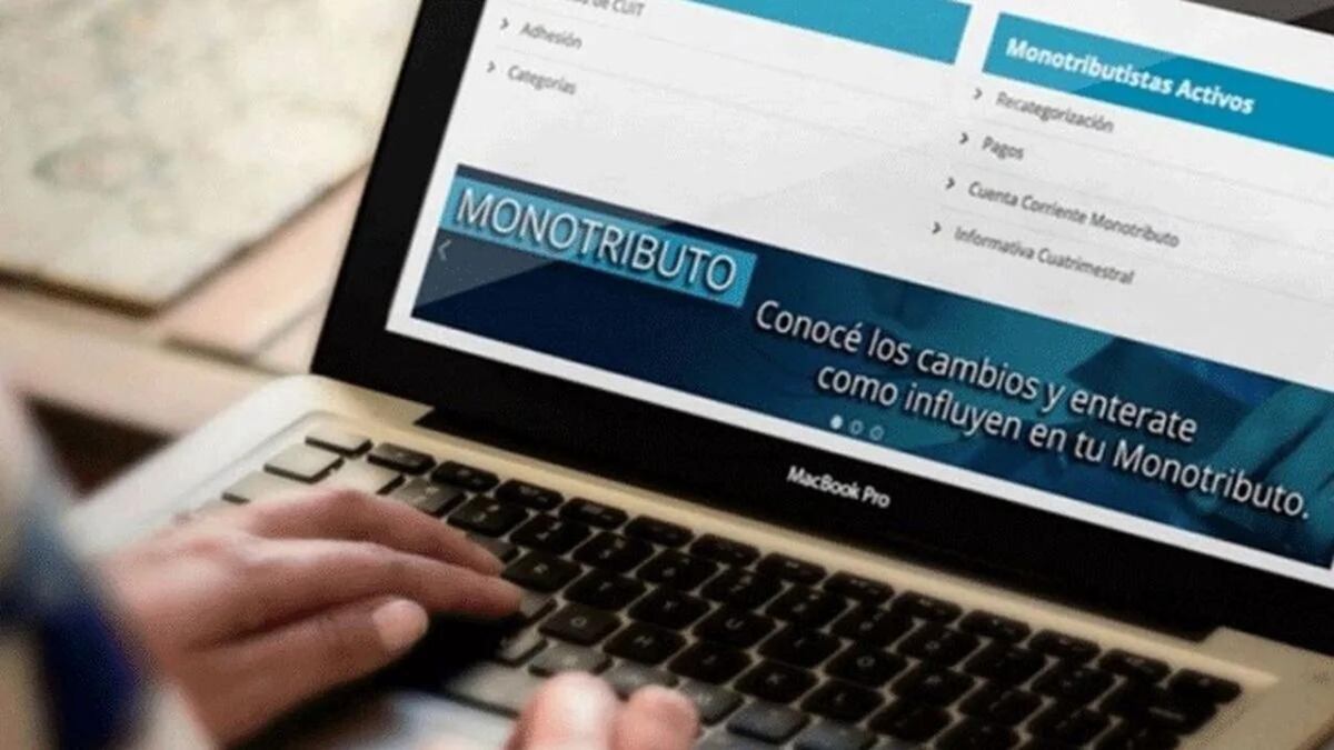 Cambian los valores del monotributo: cuánto pagará cada categoría tras la Ley Bases