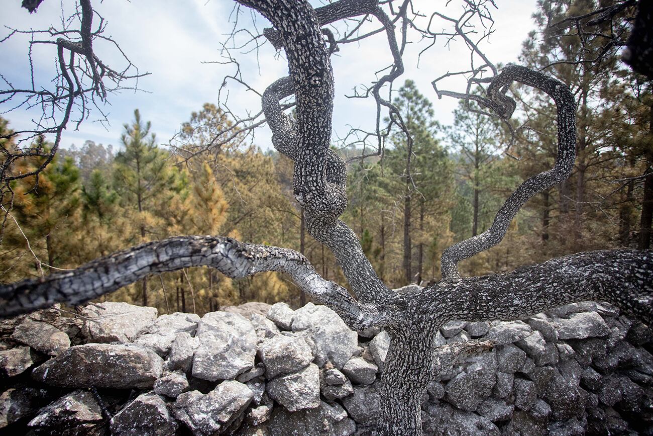 Villa Yacanto, tras el paso de las llamas.  (La Voz)