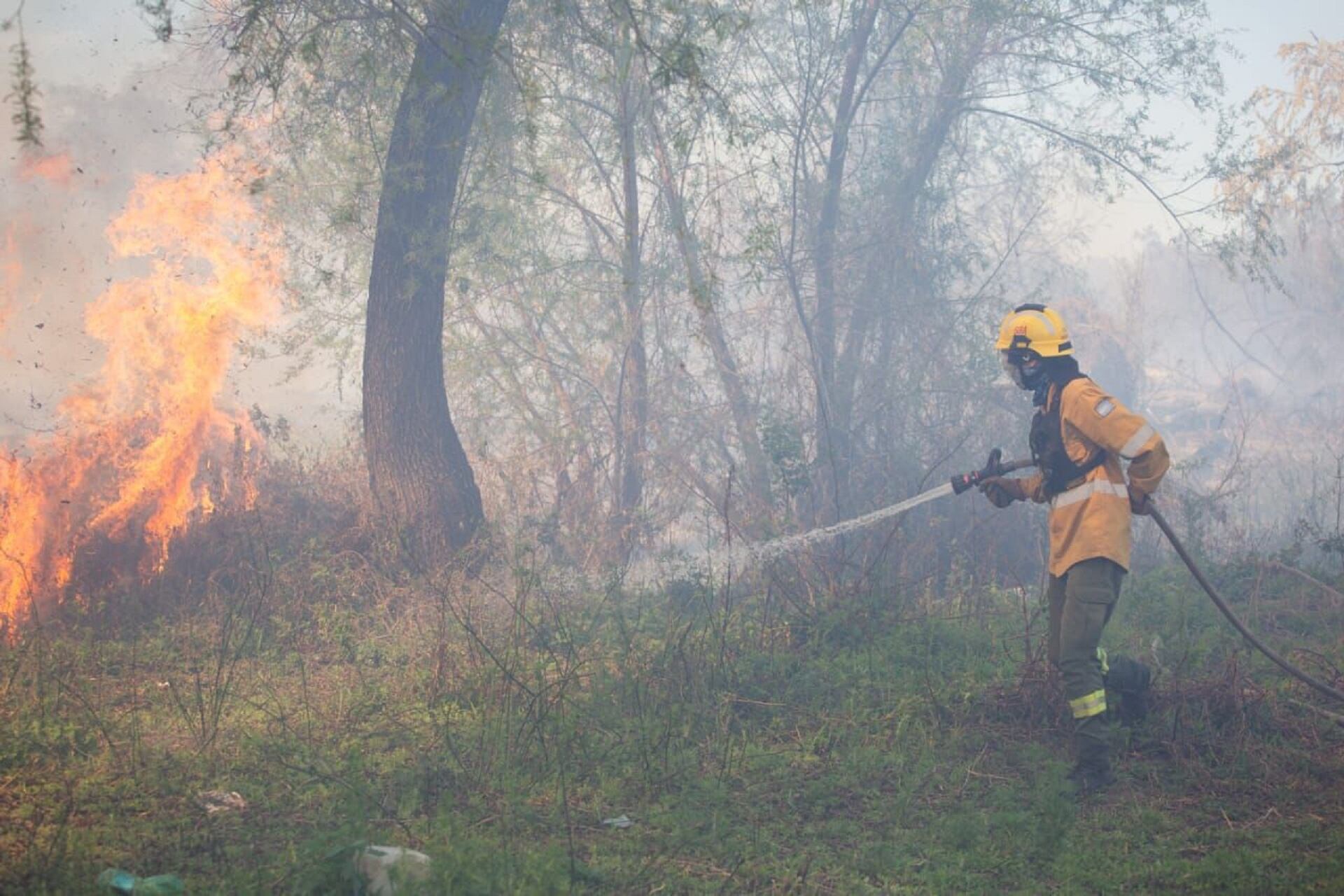 Incendio en Islas del Delta: Brigadistas de Entre Ríos y Santa Fé unen fuerzas para combatir el fuego