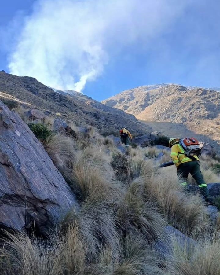 Combaten un incendio forestal en Travesía, Córdoba.