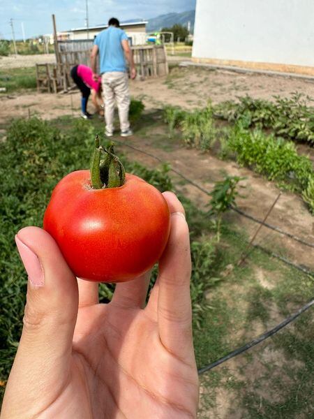 La producción de alimento como espacio de contención social.