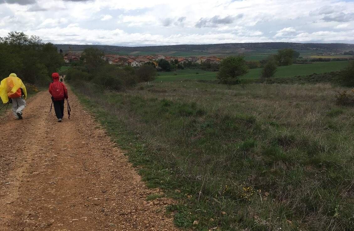 Los Caminos de Santiago, un viaje espiritual que se conjuga con la historia, el arte y la cultura.