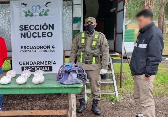 Gendarmería incautó marihuana en un ómnibus de larga distancia en Eldorado