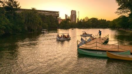 El Paseo del Bosque es el espacio perfecto para rodearte de verde.