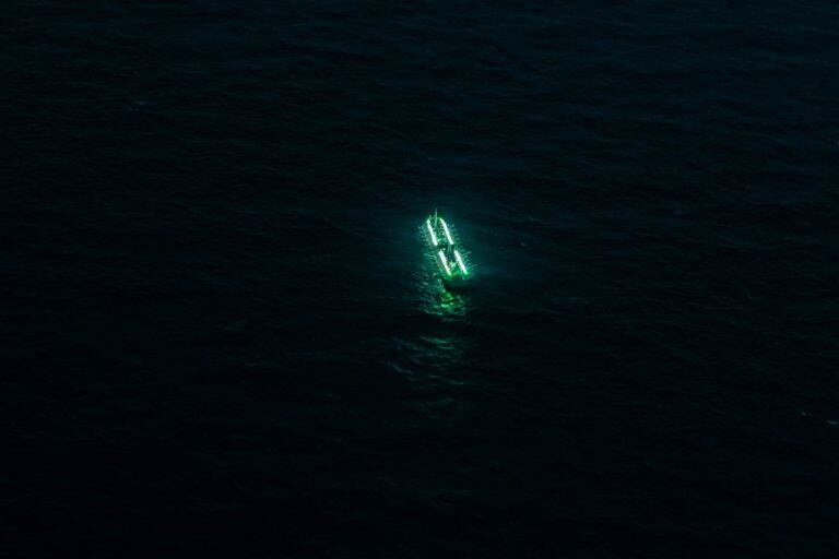 Los barcos pesqueros son principalmente de China, Corea, Japón, España 