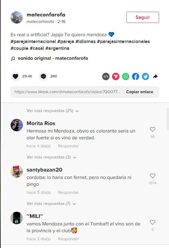 Se hizo viral un video de brasileros que se impactaron con una fuente mendocina