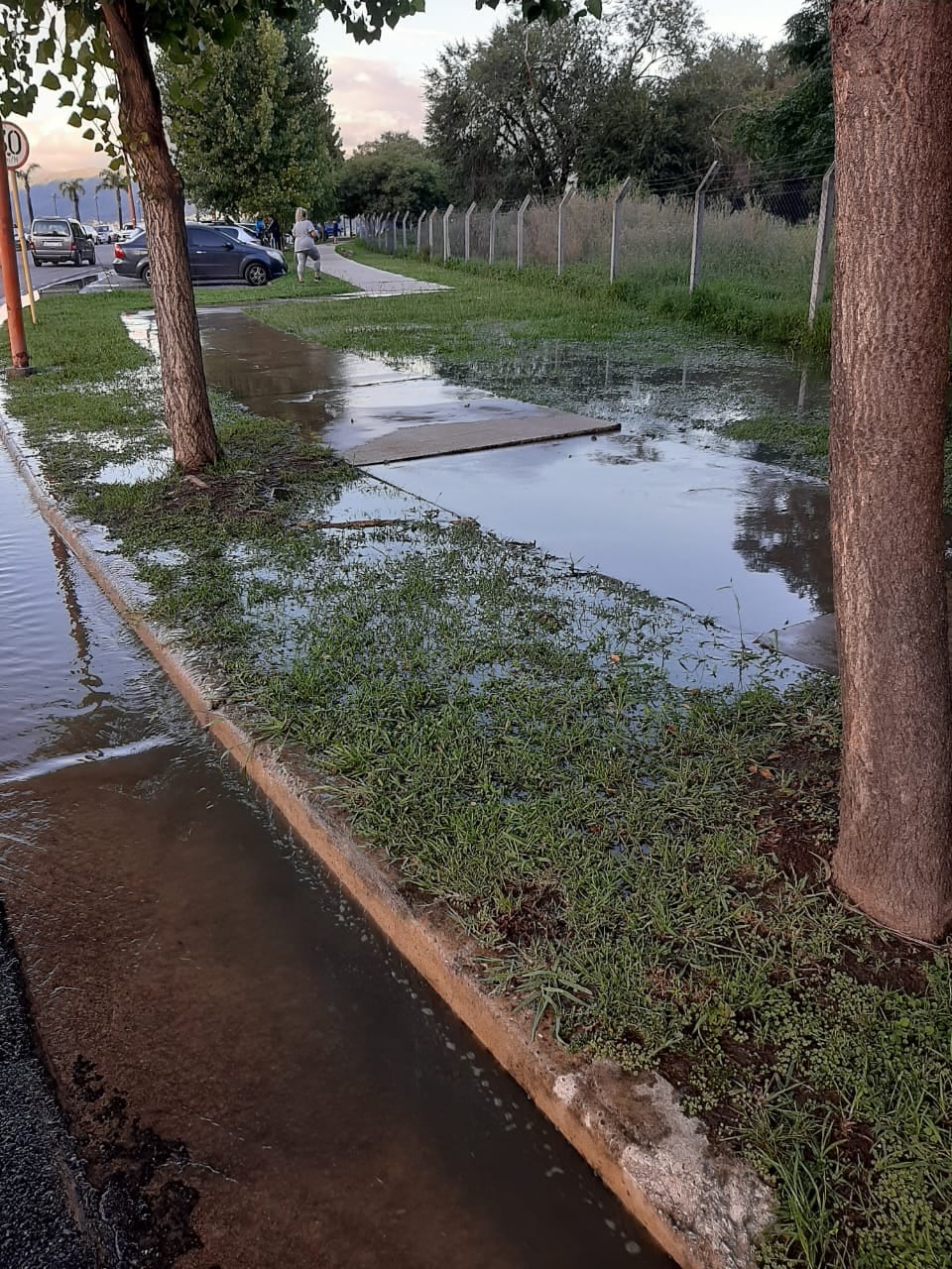 "Se vertieron millones de líquidos cloacales sin tratamiento desde la estación de bombeo ubicada en calle Nahuel Huapi esquina Avenida Illia, generando una grave contaminación al embalse”, afirmaron desde el Municipio.