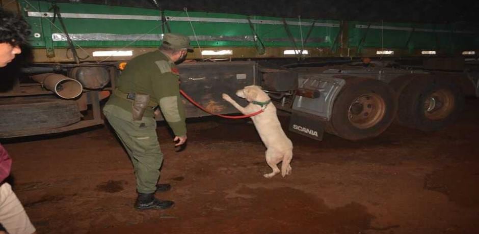 Nuevamente incautan toneladas de Marihuana en Eldorado.