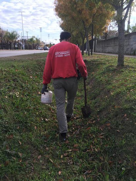 Soldini comenzó con operativos de desratización