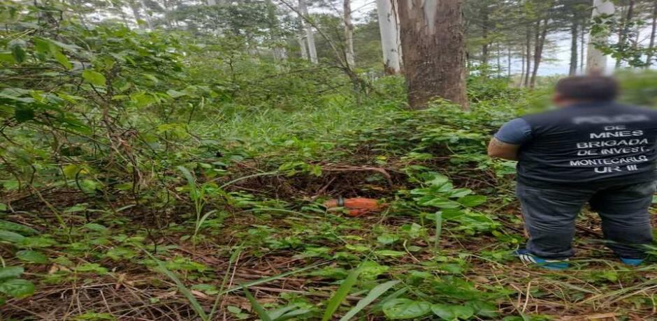 Recuperaron elementos robados en Montecarlo y detuvieron a un sujeto en Puerto Piray .