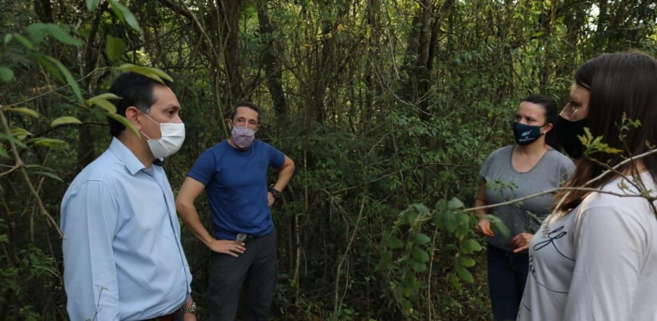 Nueva jornada de plantación arbórea en el barrio Jossi de Eldorado.