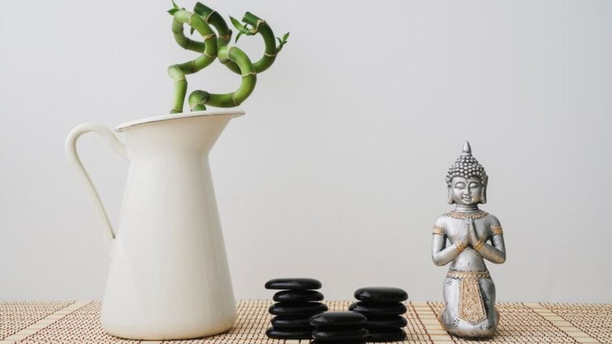 Qué es el Feng Shui y cuatro claves que debes conocer antes de aplicarlo en casa