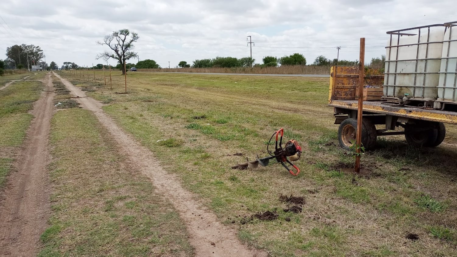 Plantación de árboles en Arroyito 2023