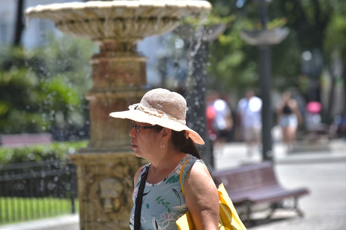Ola de calor en Córdoba: cuál será la máxima de este lunes 29 de enero y del resto de la semana