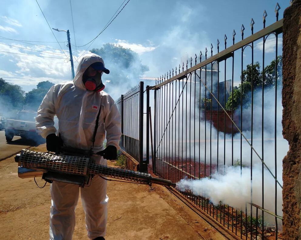 Sin casos de dengue sospechosos en Puerto Iguazú.