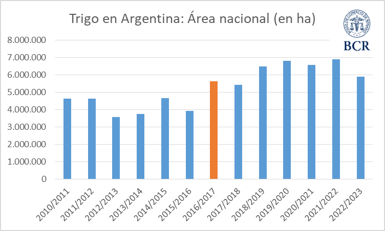 Las proyecciones del Trigo para este año, ponen en jaque a las necesidades financieras de los productores.