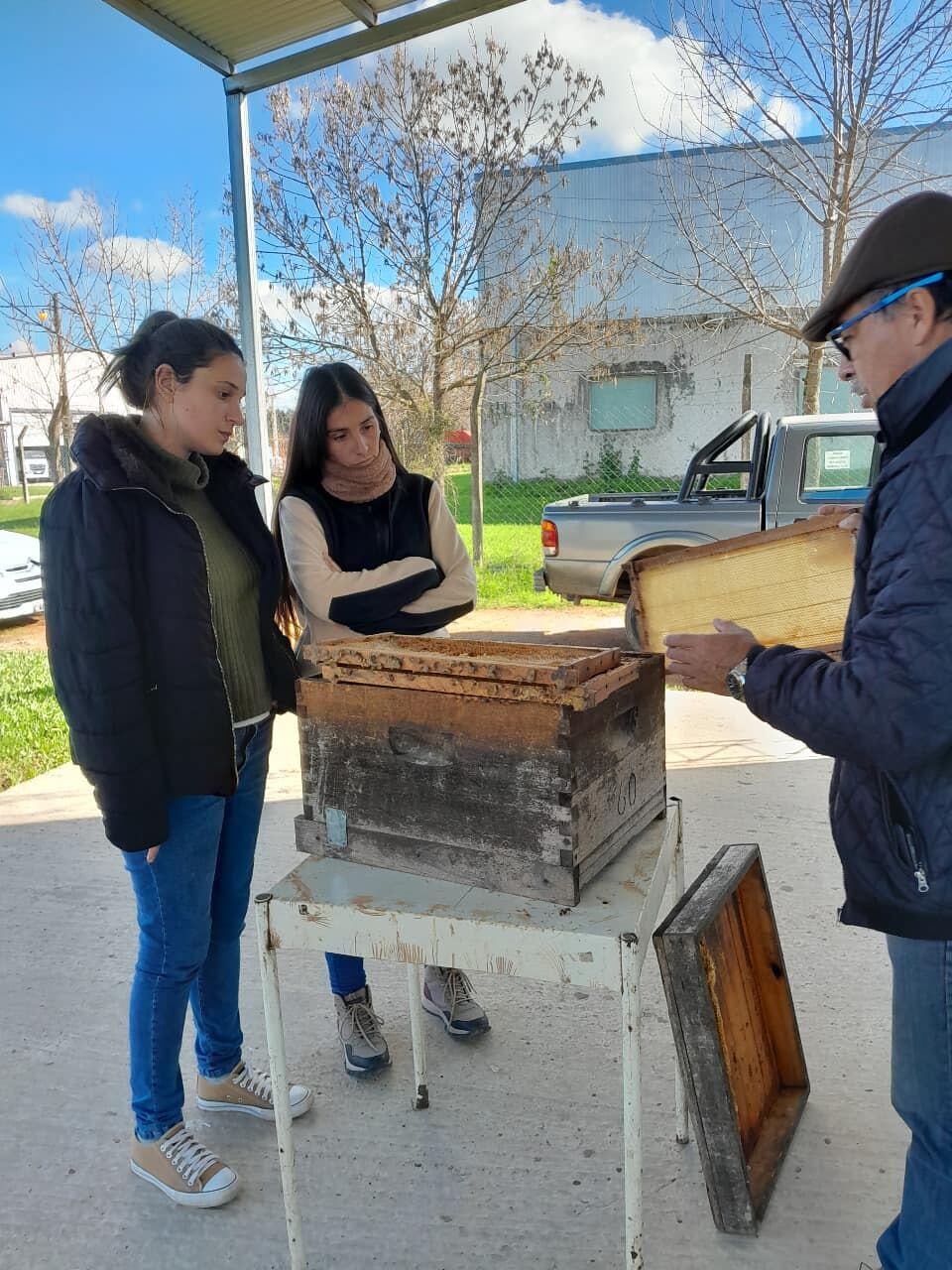 Estudiar Medicina Veterinaria en Gualeguaychú: una carrera gratuita de la UNER