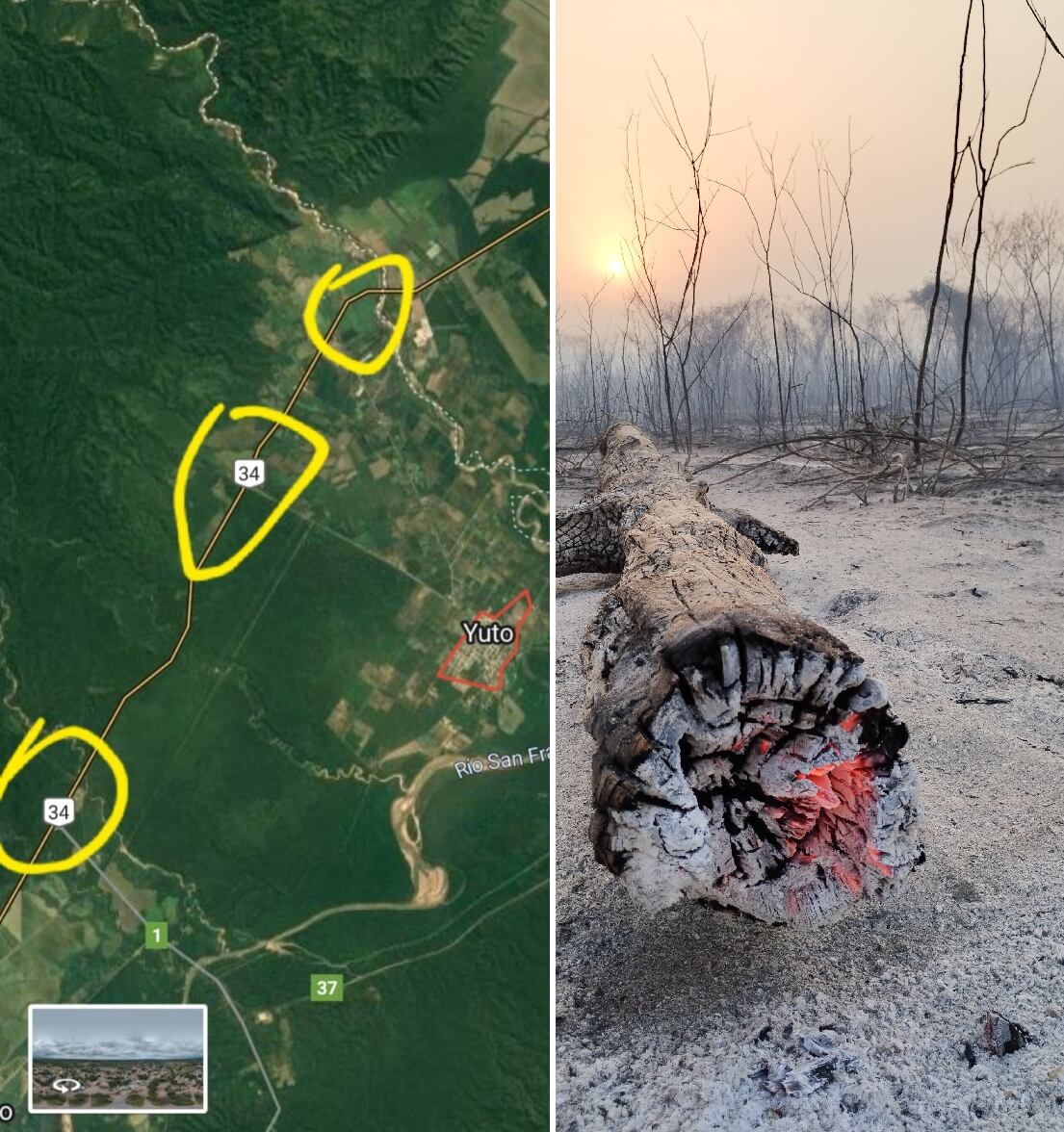 La Secretaría de Seguridad Vial debió interrumpir la circulación vehicular en la ruta 34 en puntos en los que el fuego avanzó sobre la calzada. Tras la voracidad de la llamas, queda la amenaza de los troncos y las cenizas encendidas.