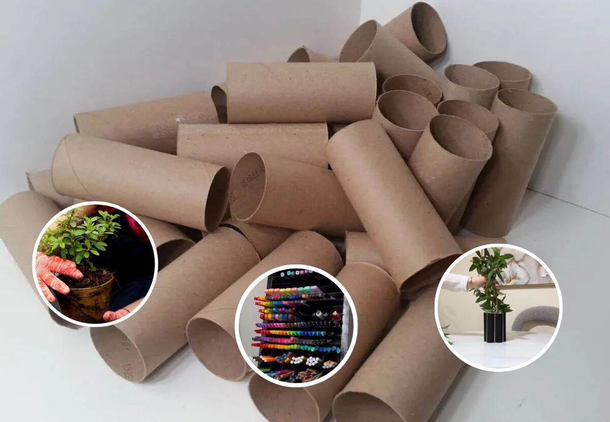 Cómo reciclar rollos de papel higiénico: tres ideas para transformarlos en un tesoro para la casa