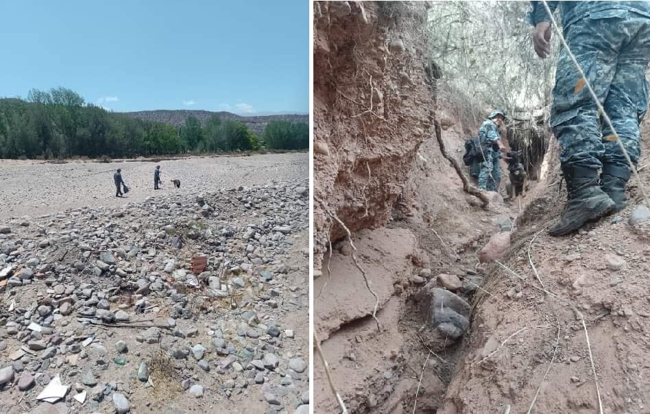 "Pujllay", un perro entrenado perteneciente a la División Canes de la Policía, trabajó en la búsqueda de Sixto Balcarce en Humahuaca.