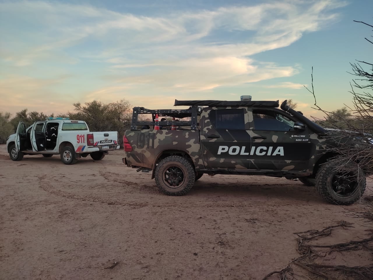 La policía de San Juan rescató a seis perros que eran utilizados para cazar (imagen ilustrativa)