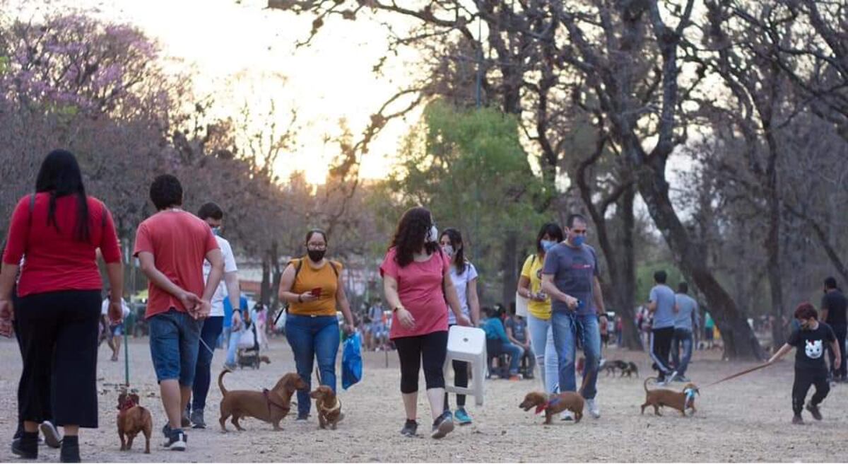 En encuentro de “Perros Salchichas”, eligen al rey y la reina este domingo en Jujuy