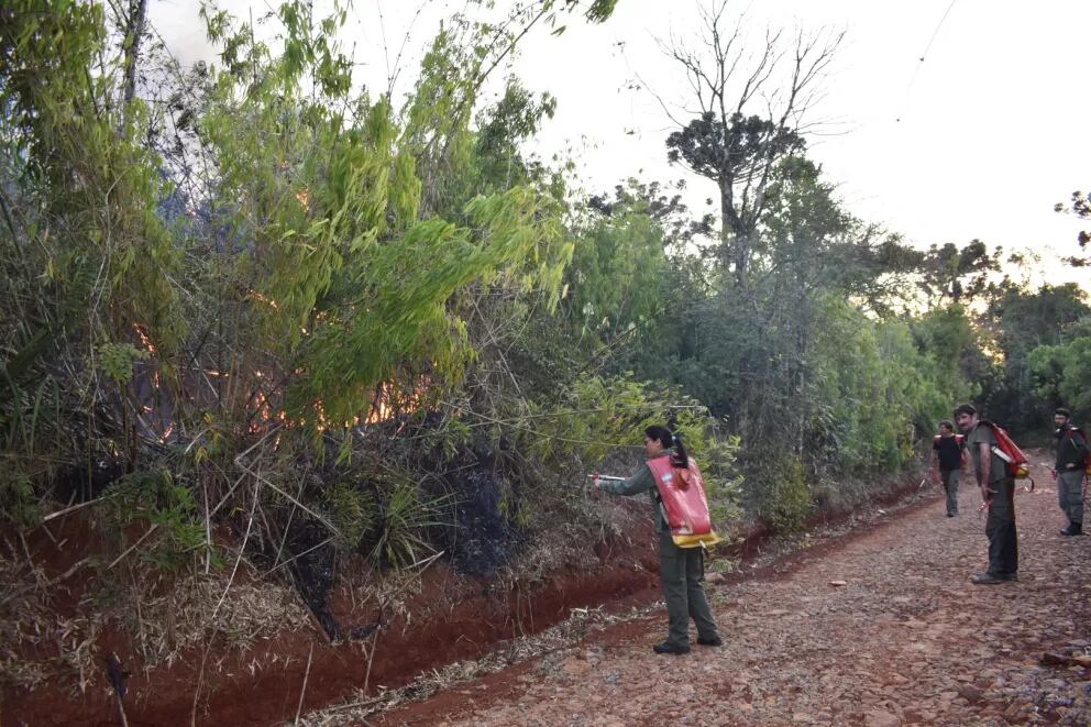 Los incendios intencionales no cesan: continúan denunciando focos en Pozo Azul.