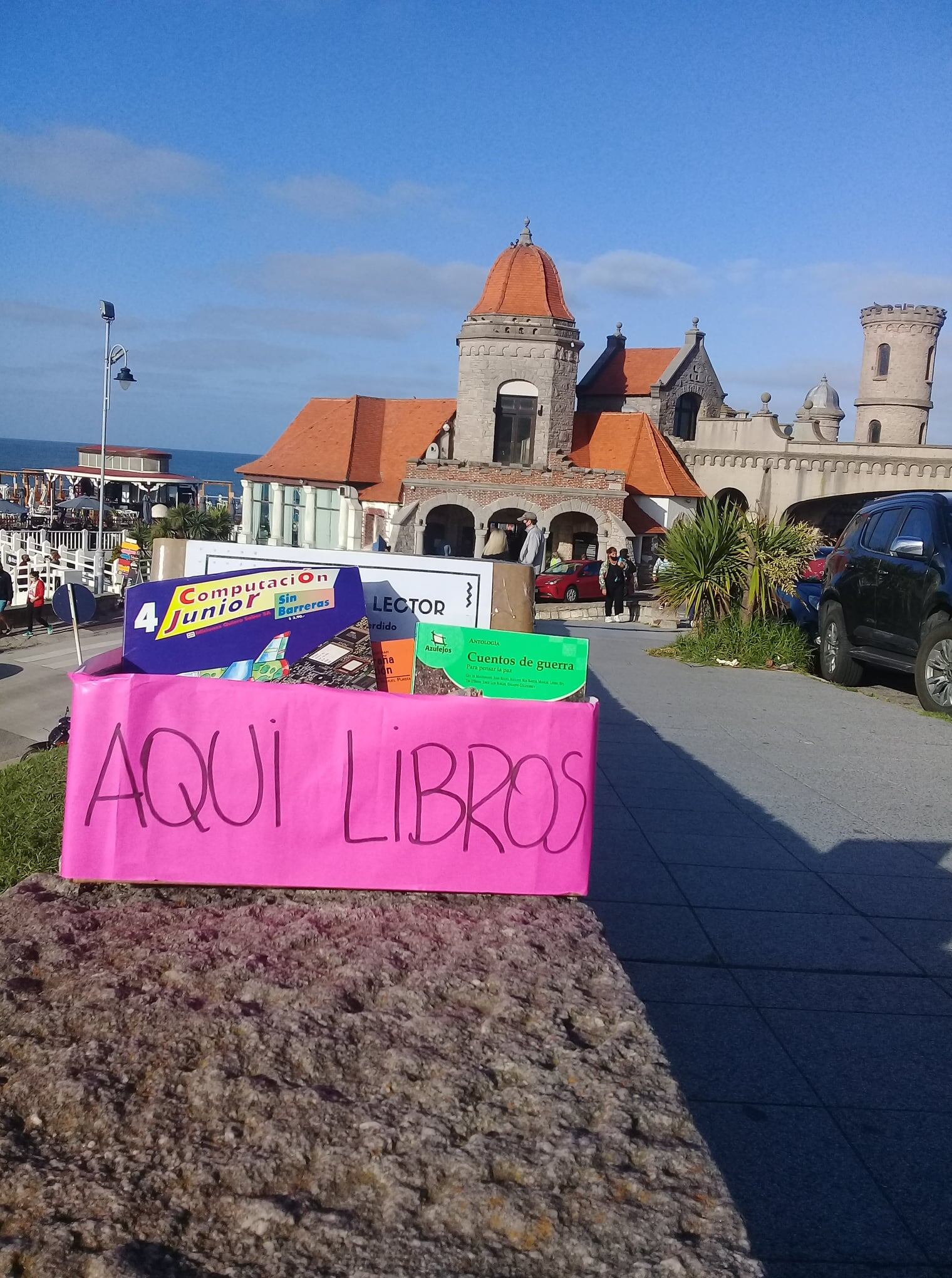 Desde hace cuatro años, la ONG Casa de 20 realiza una “Siembra de Libros”, pero ¿de qué se trata? Y ¿Cómo se puede formar parte de la iniciativa?