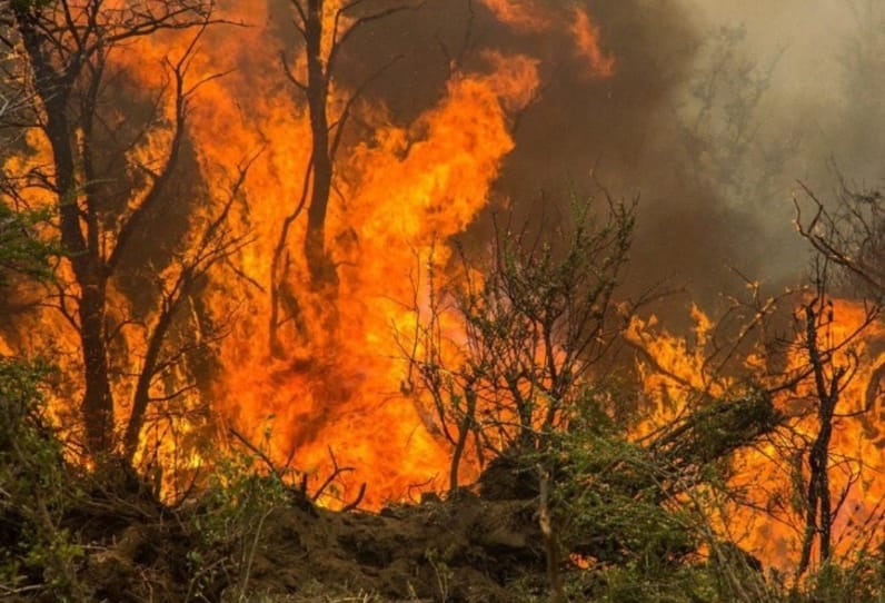 En algunas localidades lograron contener los incendios.