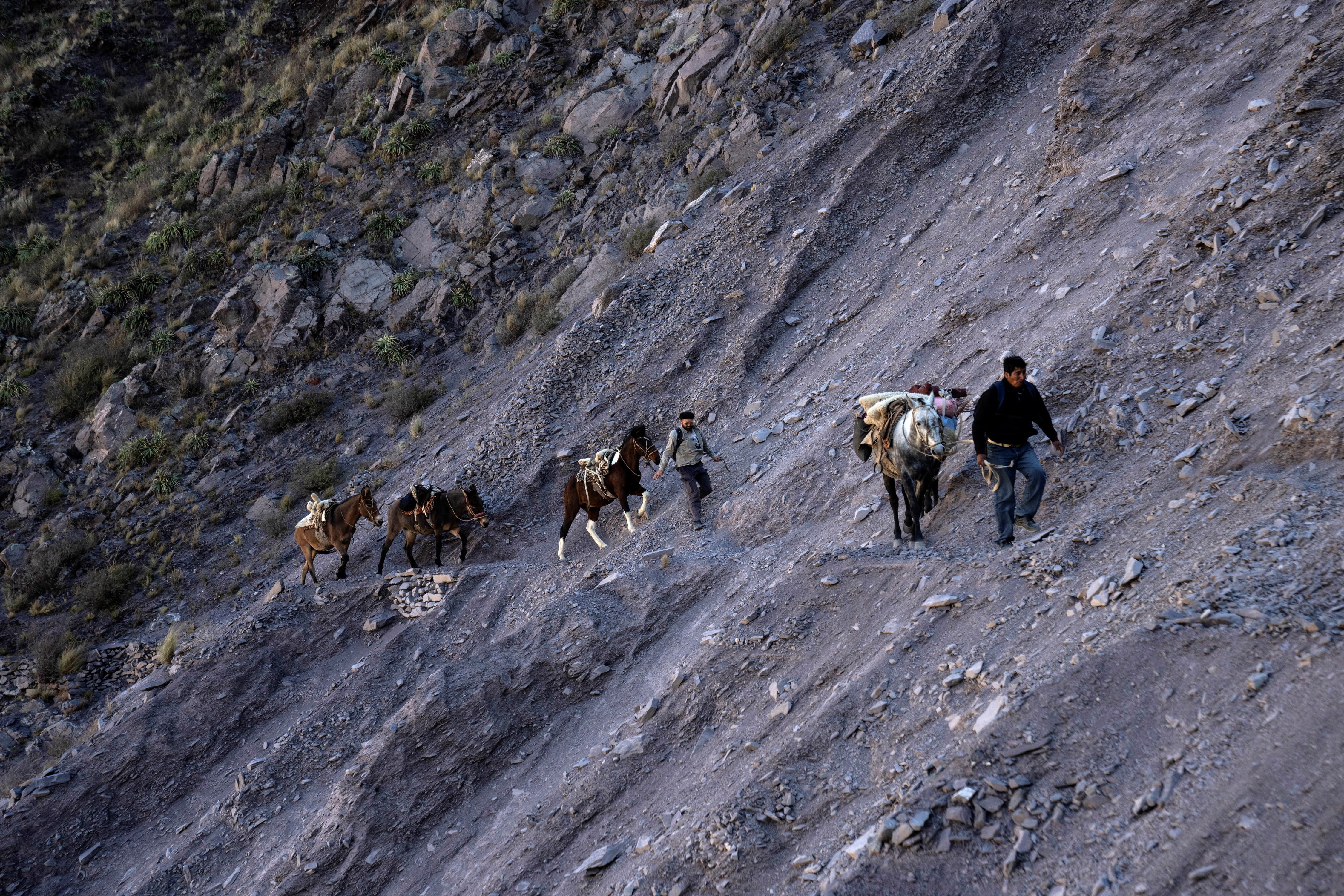 Santos Ramos y Jorge Fusaro van con sus mulas cargadas por un sendero rocoso del Cerro Chañi, cumpliendo uno de los recorridos médicos por las comunidades rurales dispersas en esa inhóspita región de la provincia de Jujuy.