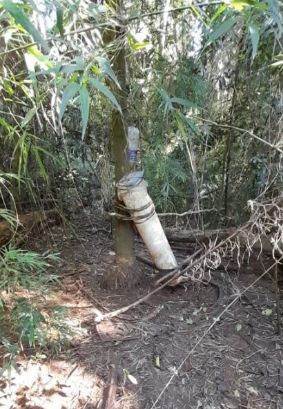 Desarticulan presencia de furtivos en el Parque Provincial Urugua-í.