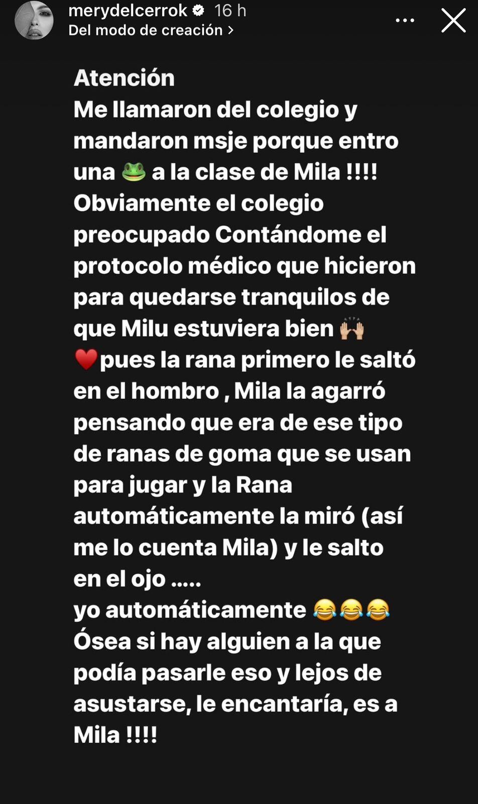 Mery del Cerro reveló lo que le sucedió a su hija mayor Mila.