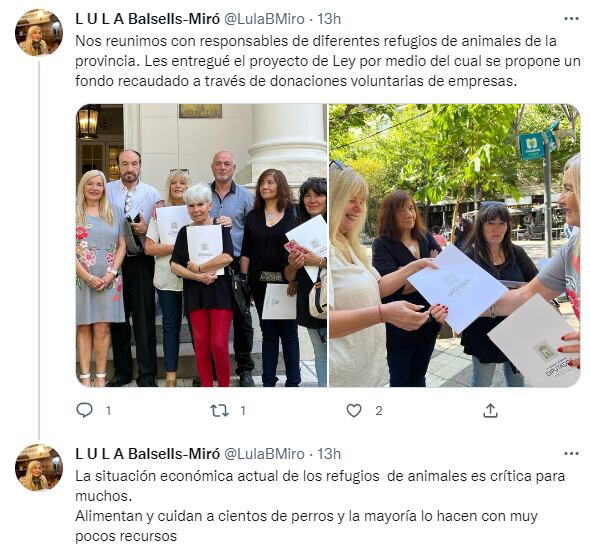 La diputada de Mendoza, Balsells-Miró, propuso brindarle "planes sociales" a perros callejeros.