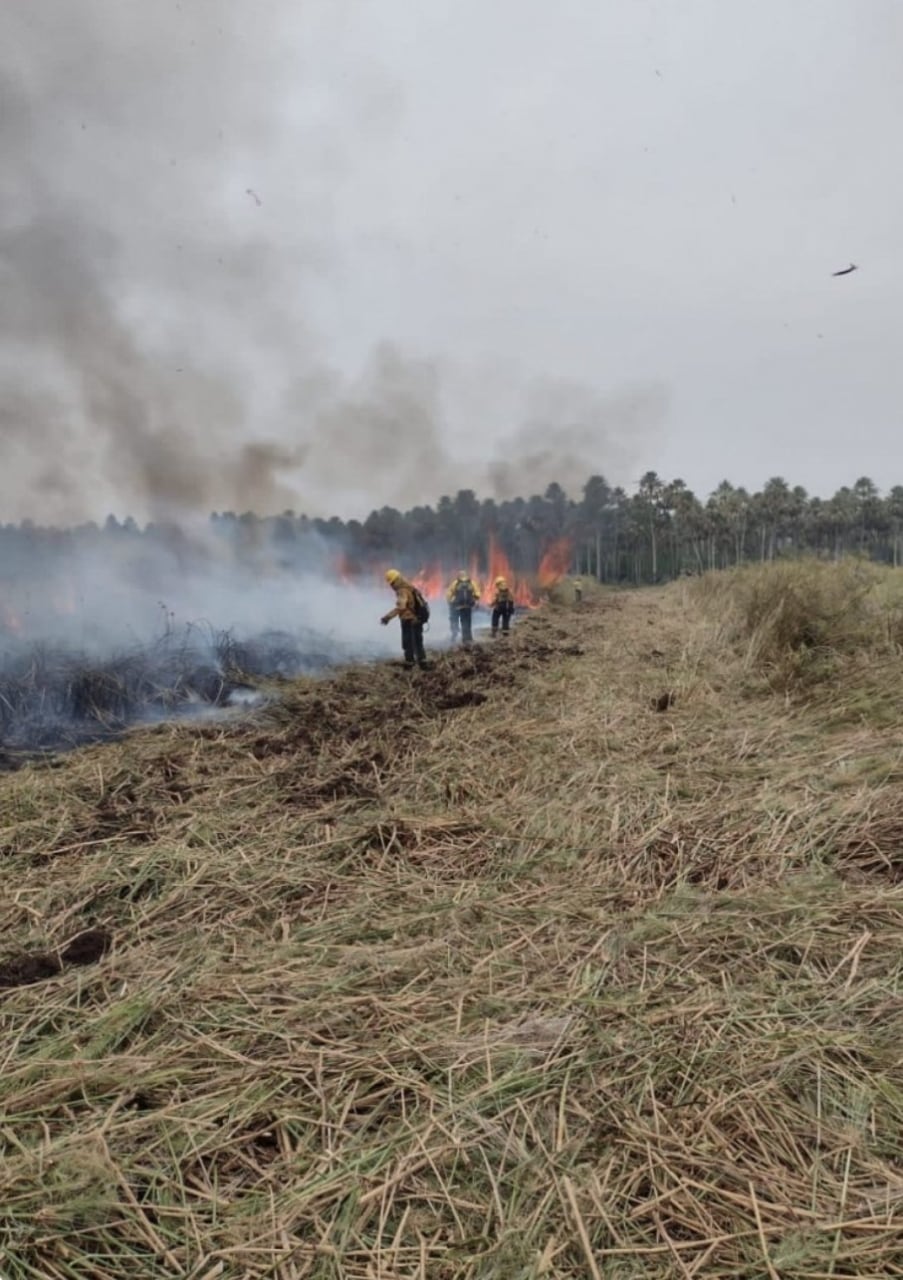 La Intendenta del Parque Nacional aseguró que el incendio fue intencional.